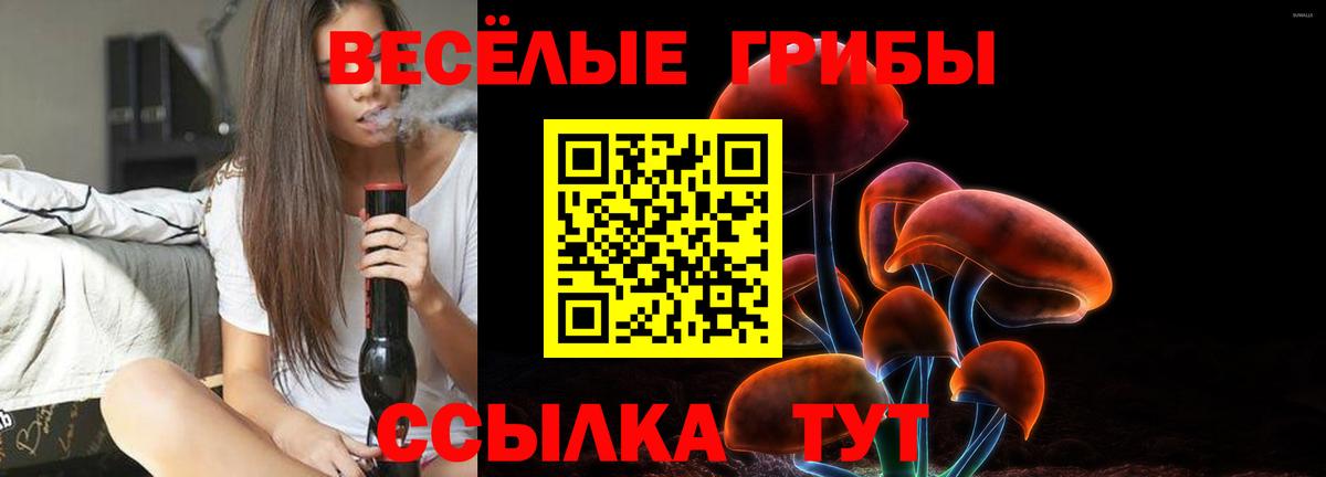 Псилоцибиновые грибы Cubensis Клин